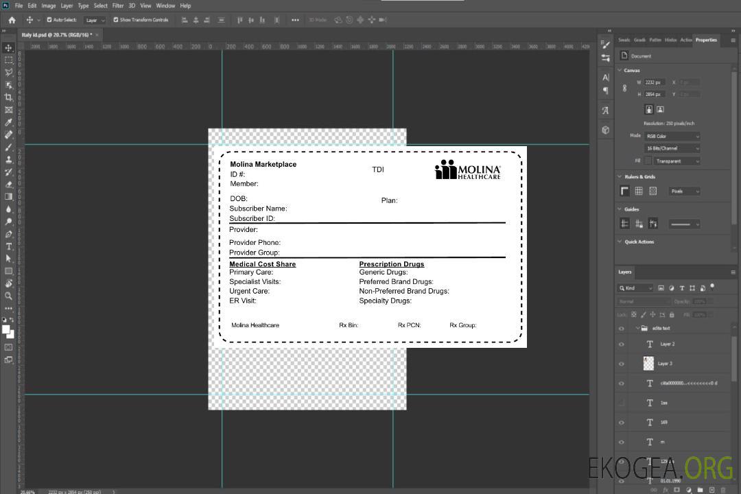 Carte d'assurance maladie USA Molina HealthCare template Carte d'assurance maladie USA Molina HealthCare template